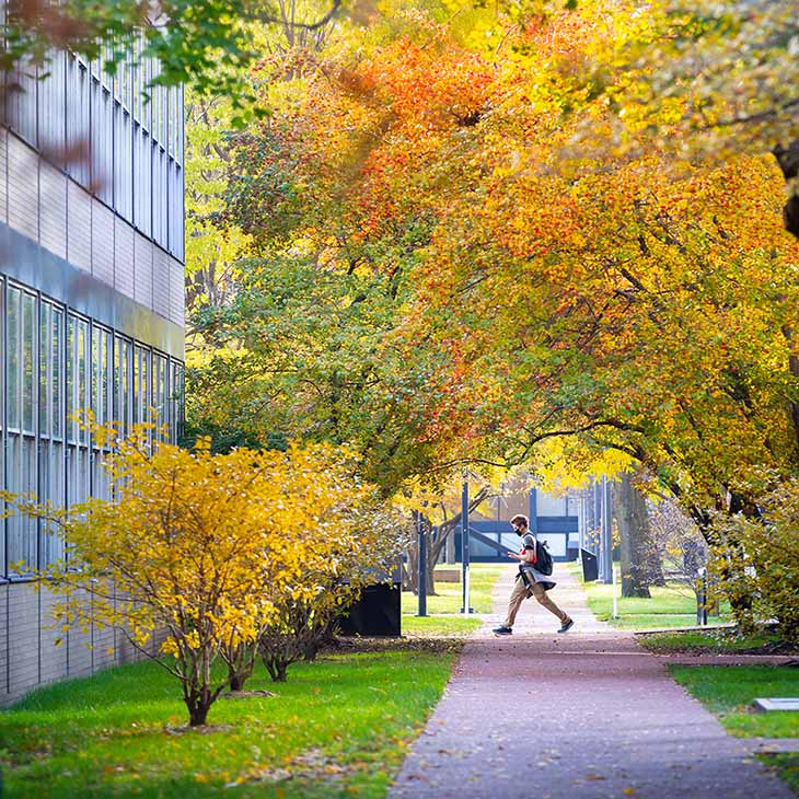 Mies Campus Named a Nationally Accredited Arboretum