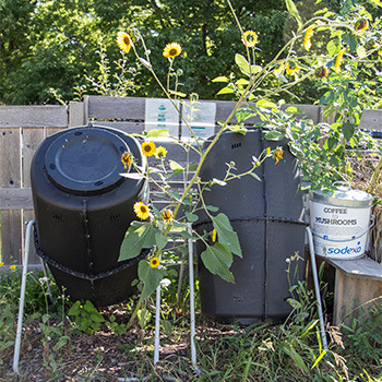 Compost and Vermi-Compost